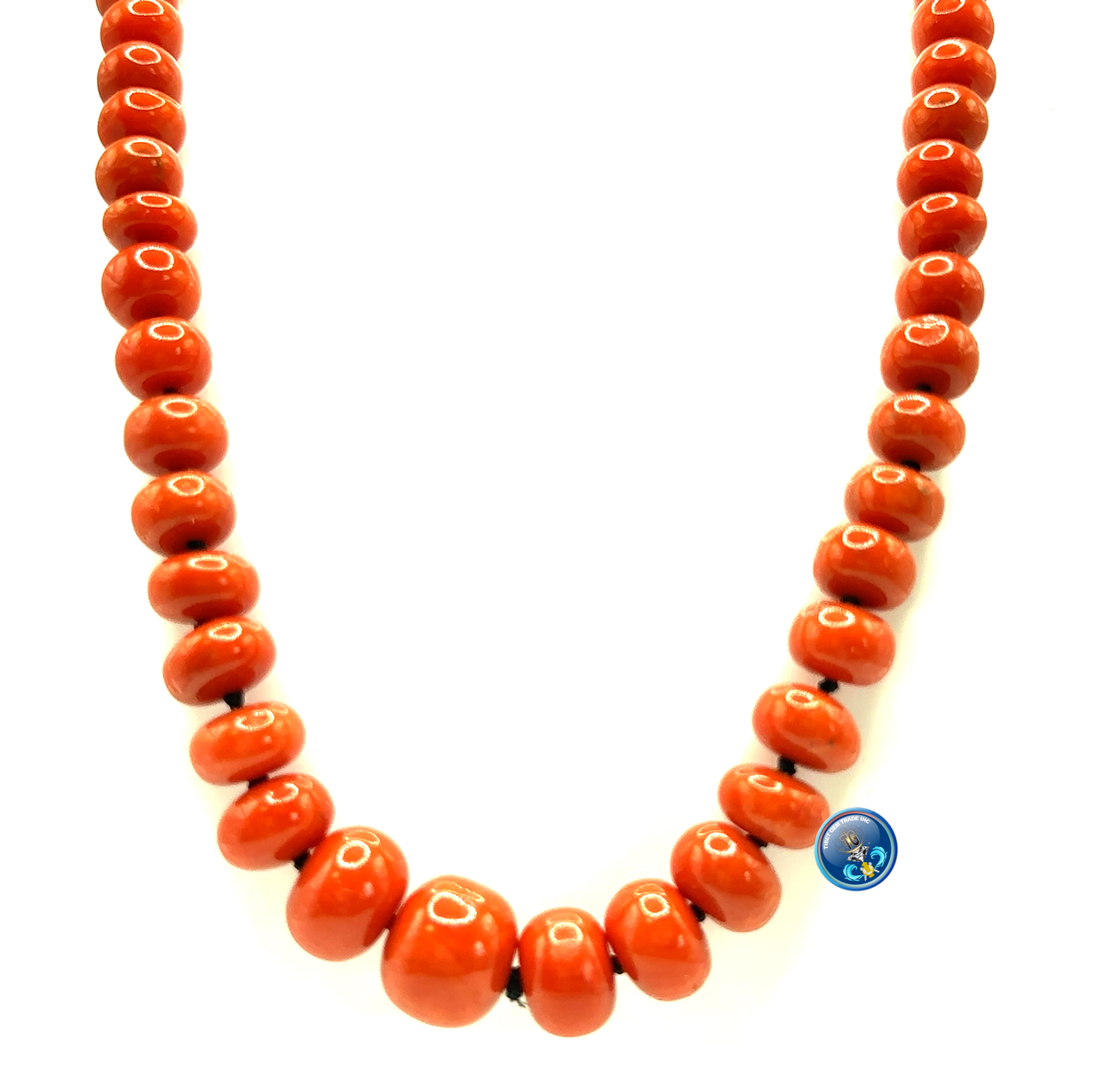 Natural Maditerranean Coral
