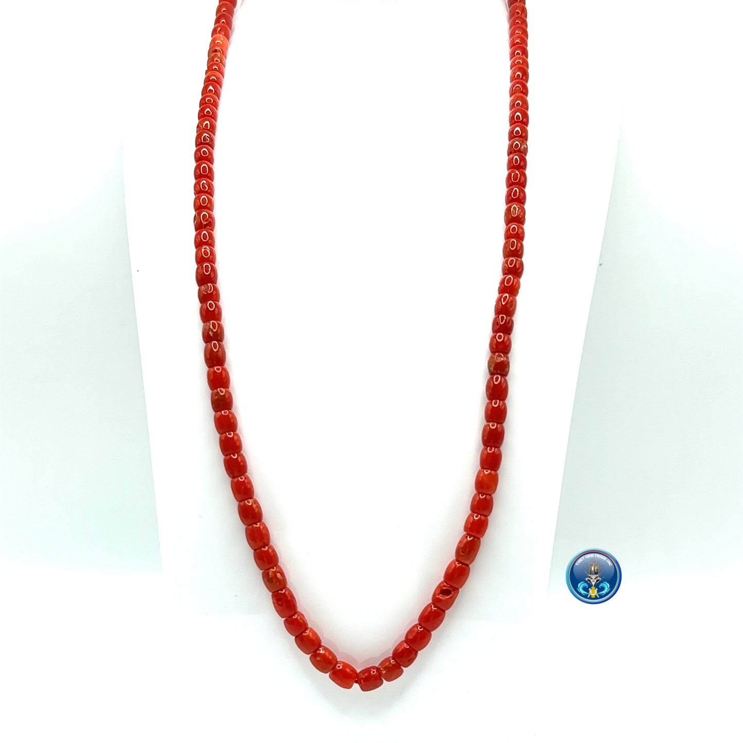 Natural mediterranean red coral