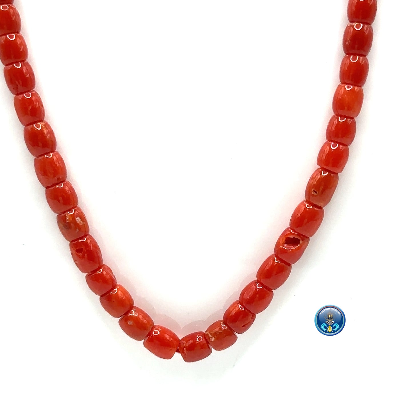 Natural mediterranean red coral