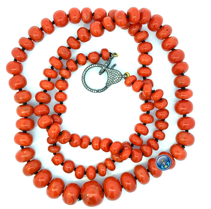 Natural Maditerranean Coral