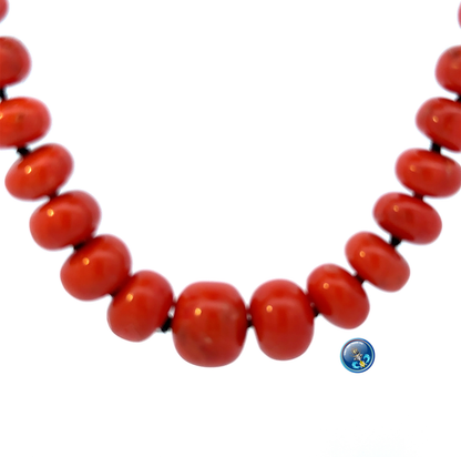 Natural Maditerranean Coral