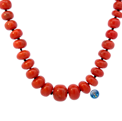 Natural Maditerranean Coral