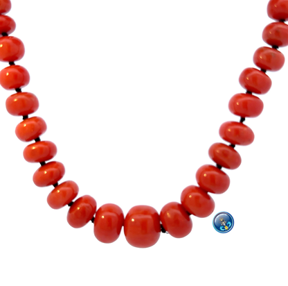 Natural Maditerranean Coral