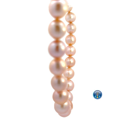 Freshwater pearl round top quality